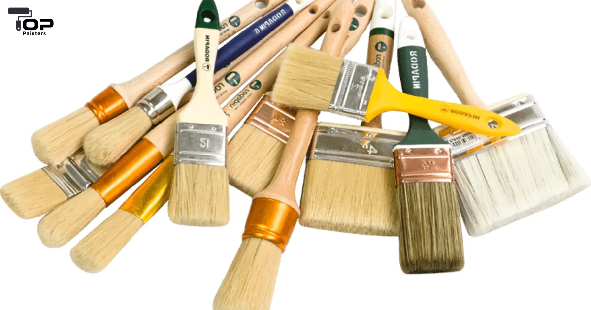 Different Types of Building Brushes.